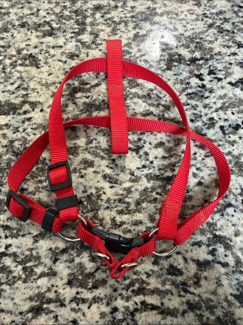 Red Dog Harness - Adjustable Nylon No-Brand Pet Harness Small Dogs or Puppies